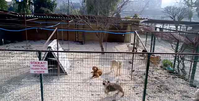 18 940 Tl Ceza Sonrasi Antakya Gazetesi 18 940 Tl Ceza Sonrasi Antakya Gazetesi